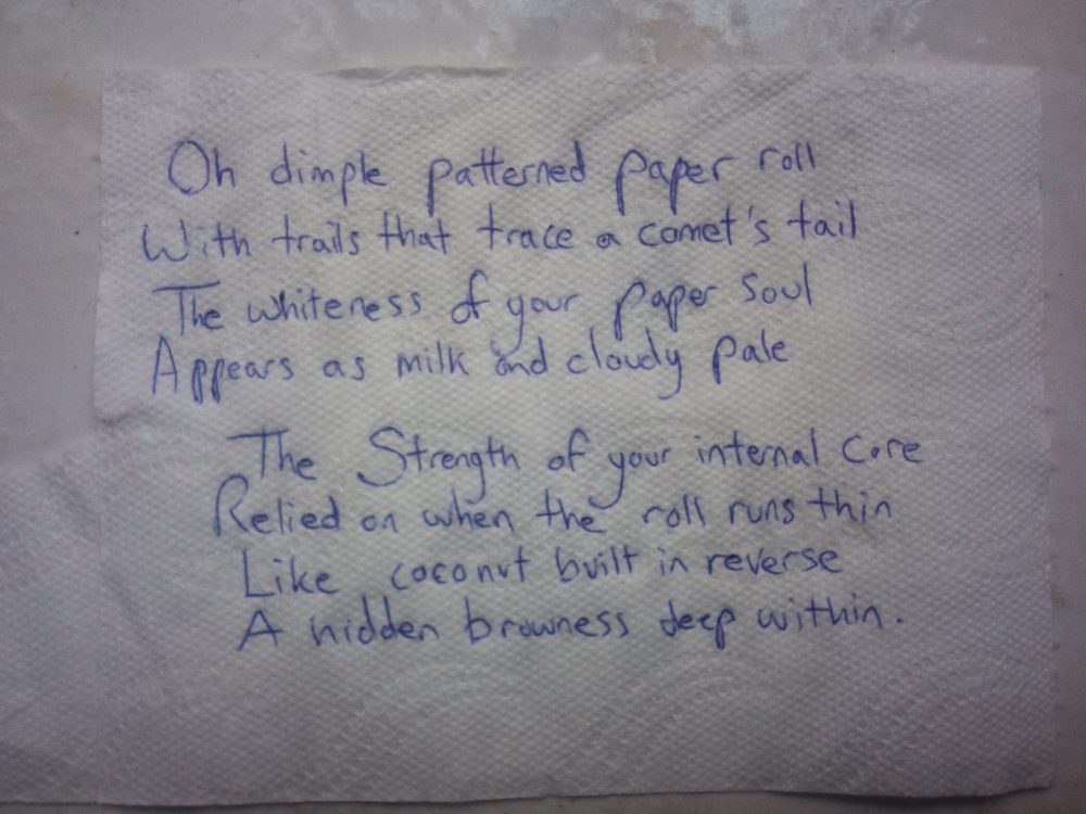 A poem written in biro on a sheet of toilet paper