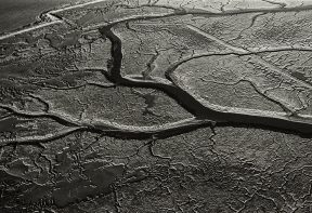 black and white aerial photograph of salt marsh in Essex