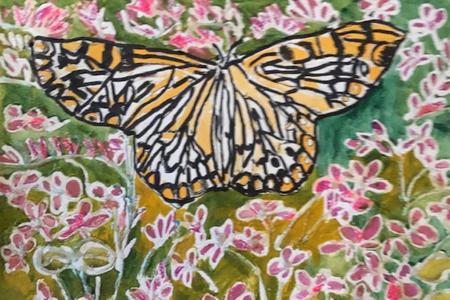 painting of butterfly