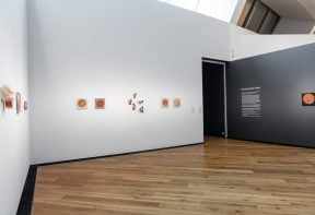 An exhibition space within a gallery, with sculptures of food encased in resin mounted on the walls.