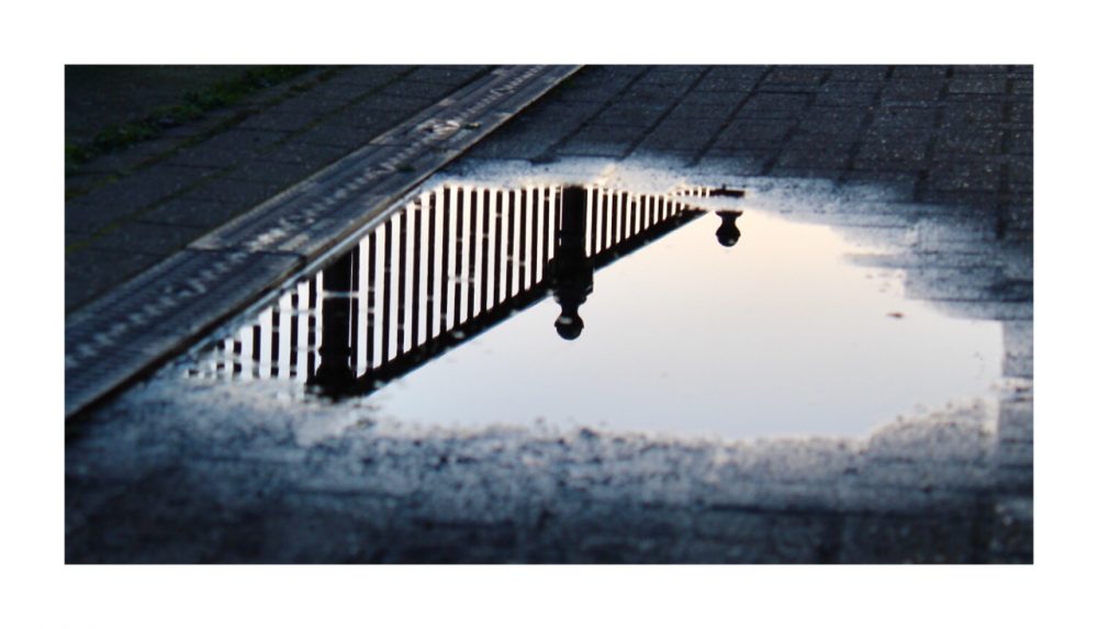 Reflection of railings in a puddle