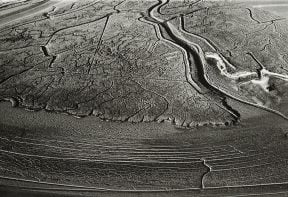 black and white aerial photograph of salt marsh in Essex