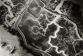 black and white aerial photograph of salt marsh in Essex