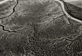 black and white aerial photograph of salt marsh in Essex