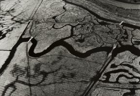 black and white aerial photograph of salt marsh in Essex