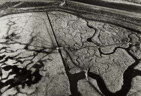 black and white aerial photograph of salt marsh in Essex