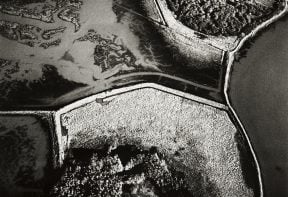 black and white aerial photograph of salt marsh in Essex