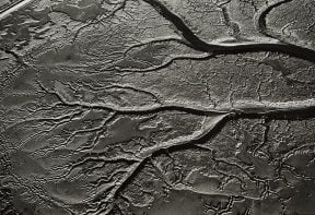 black and white aerial photograph of salt marsh in Essex