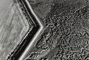 black and white aerial photograph of salt marsh in Essex