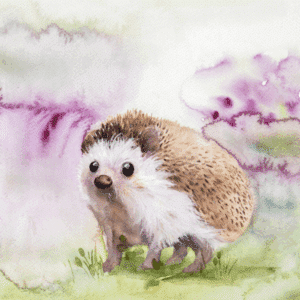 Hedgehog Print on Board with purple and green background.