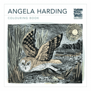 Front of the Angela Harding colouring book featuring an owl