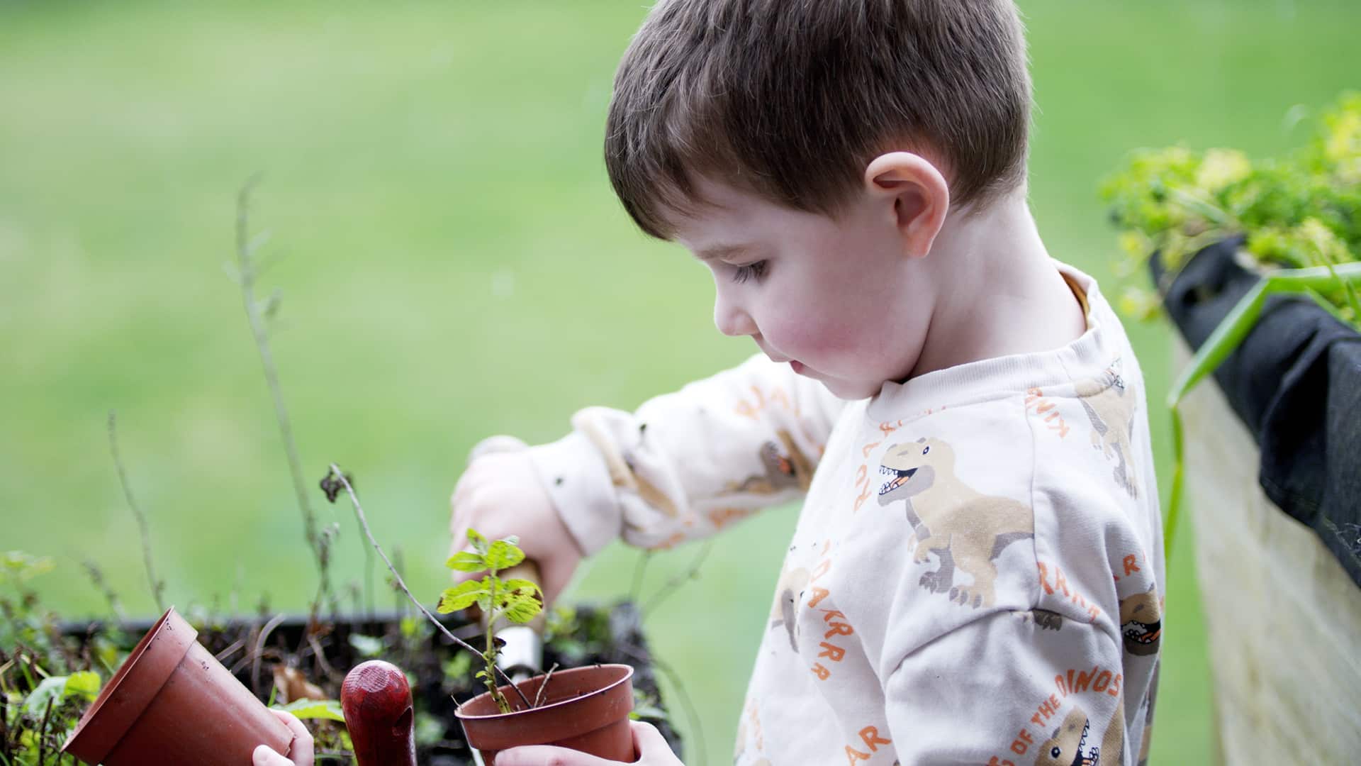 Holiday Fun May 2026: Gardening