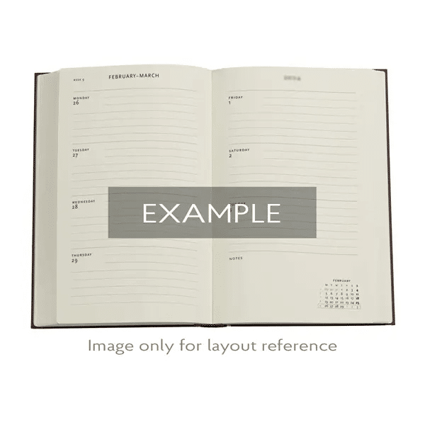 Example of the inner pages of the diaries. For reference only.