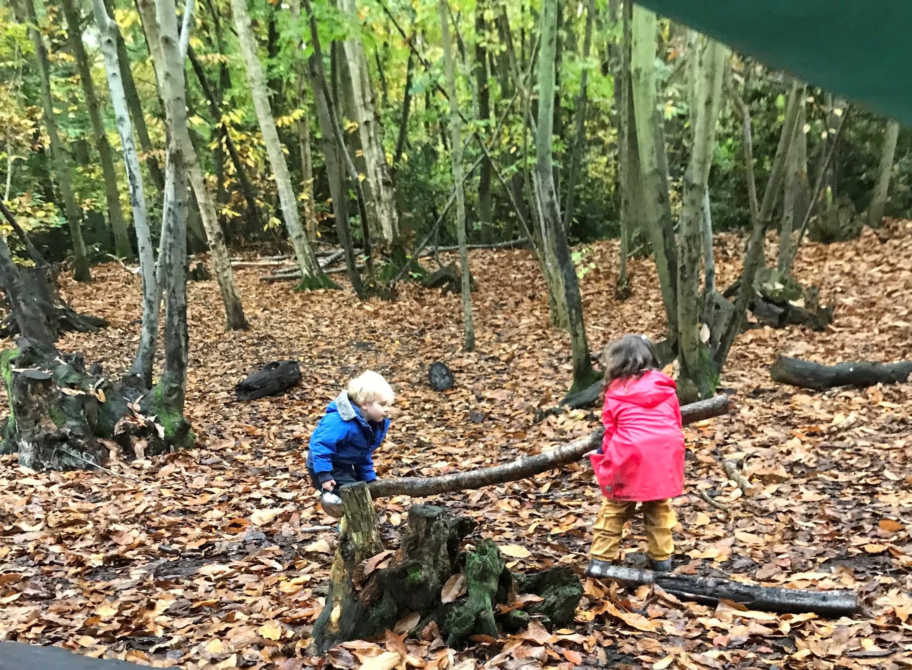 Holiday Fun May 2026: Forest Schools